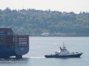 Small tugboat assisting large cargo ship at port with water and shoreline in background.